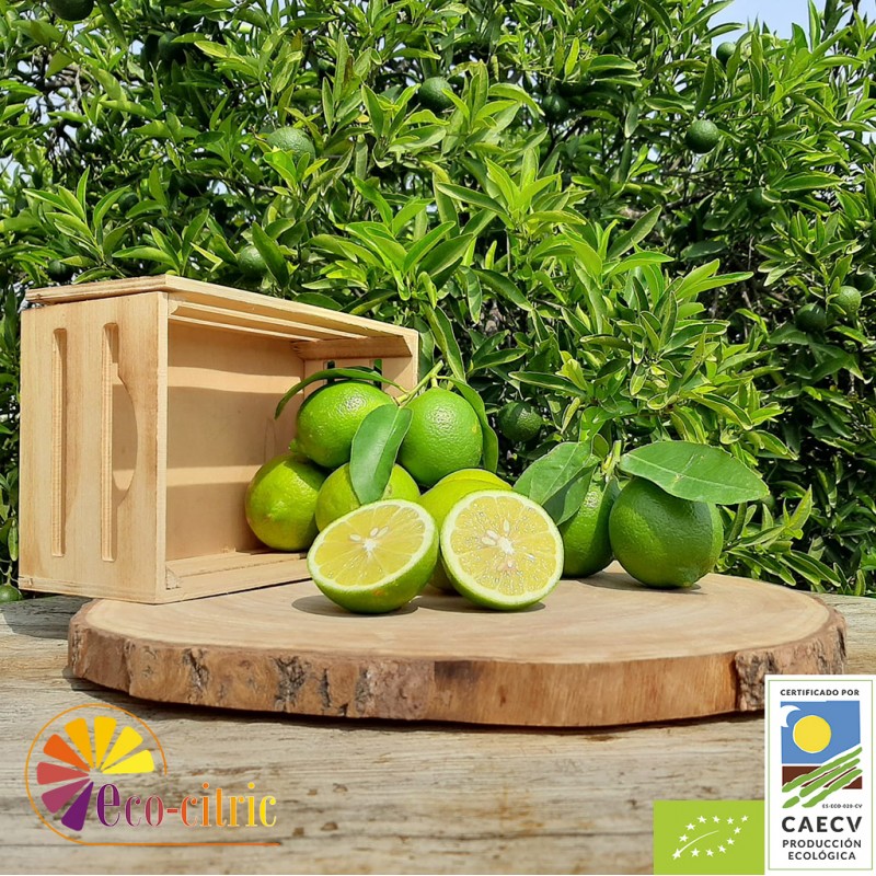 🍋 Limón Verde Ecológico