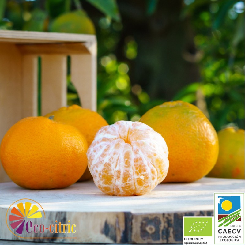 🍊 Mandarina Gold Ecológica