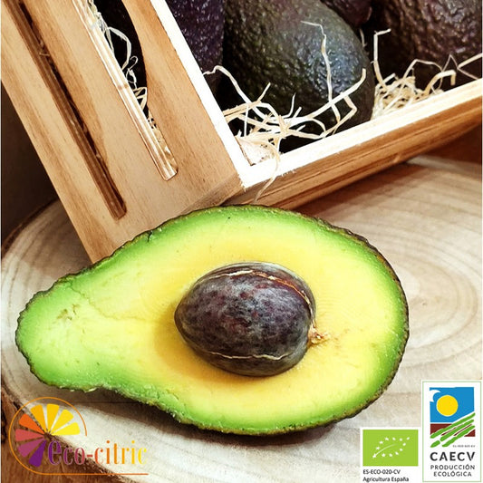 🥑 Aguacates Hass Ecológicos