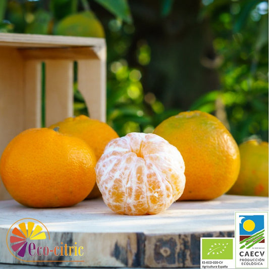 🍊 Mandarina Gold Ecológica