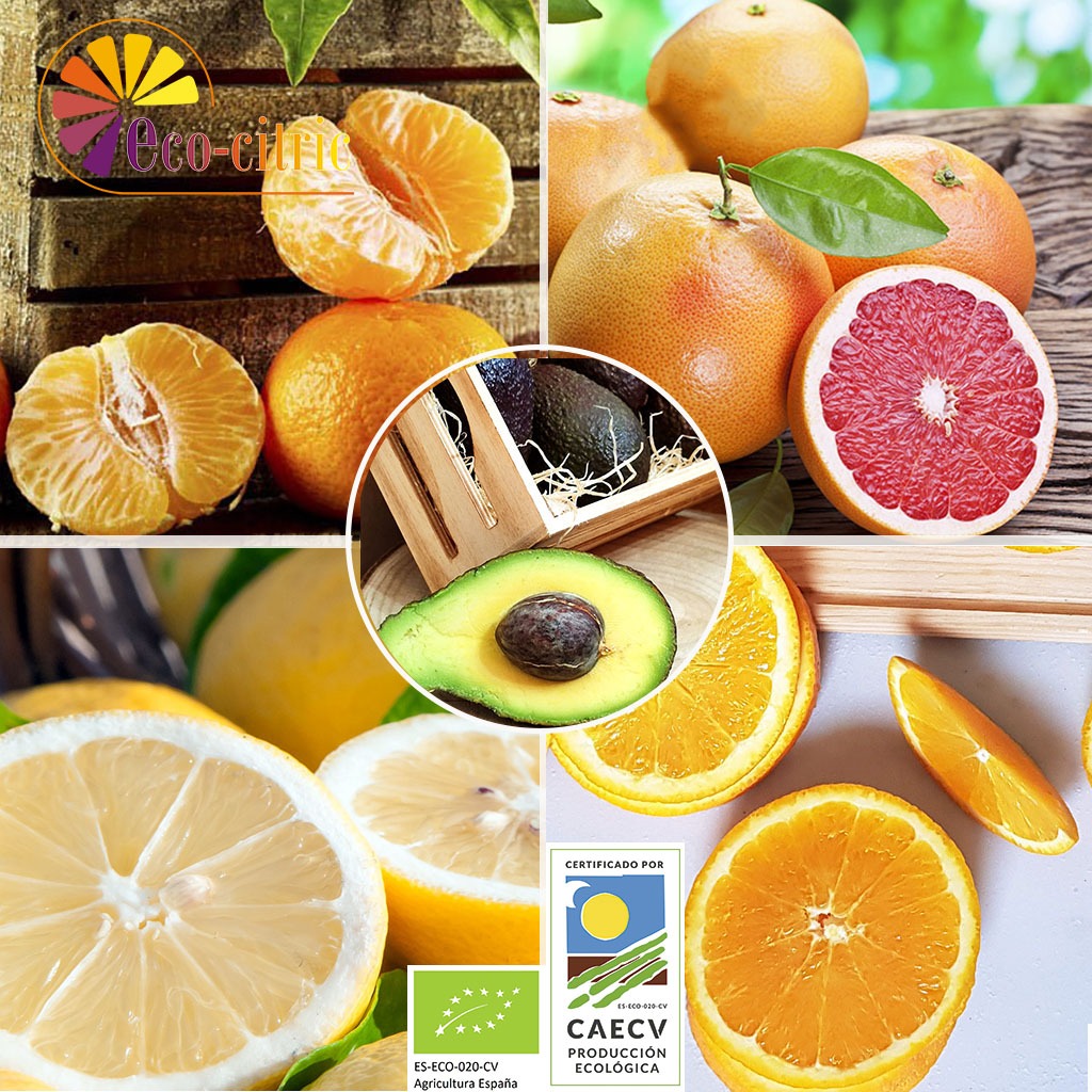 🧺 Caja Premium Ecológica 20kg – Naranja, Mandarina, Pomelo, Limón y Aguacate
