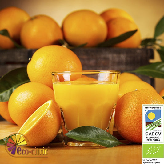 🍊 Naranjas de Zumo Ecológicas