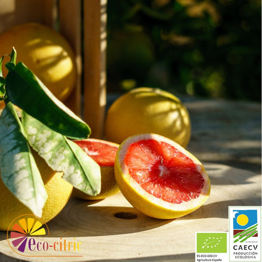 🍊 Pomelos Ecológicos Star Ruby